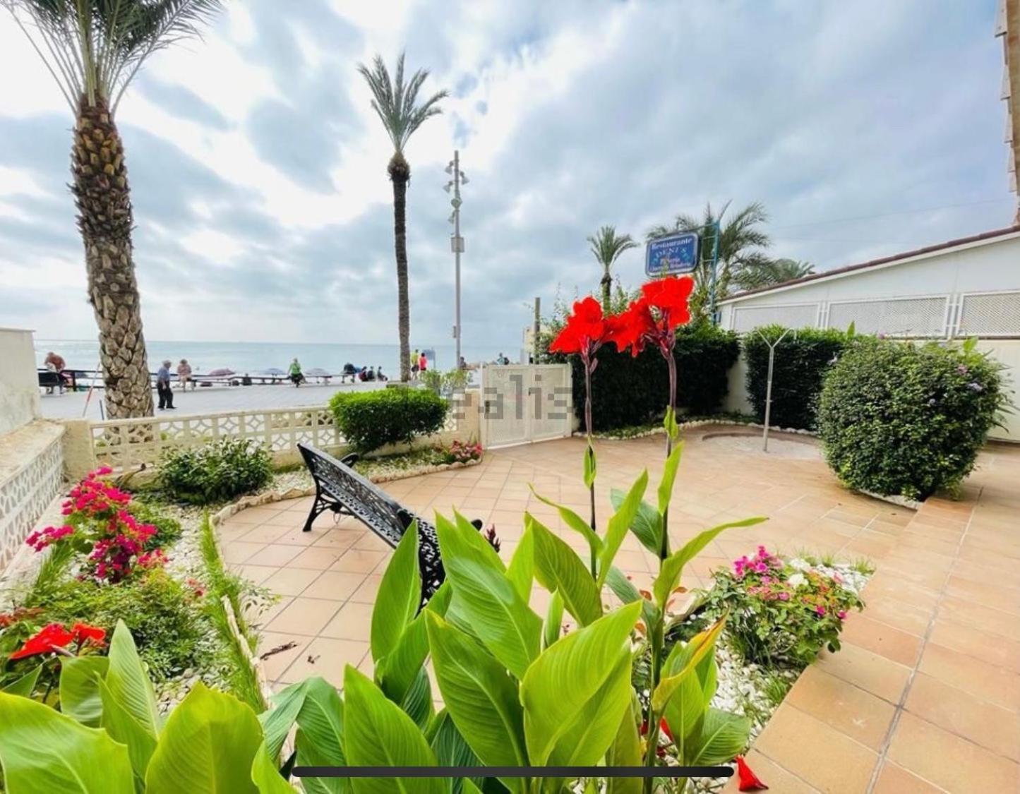 Blue House 1ª Linea Playa Apartment Torrevieja Luaran gambar